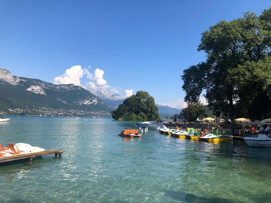 Proche Centre Avec Parking Gratuit * Annecy